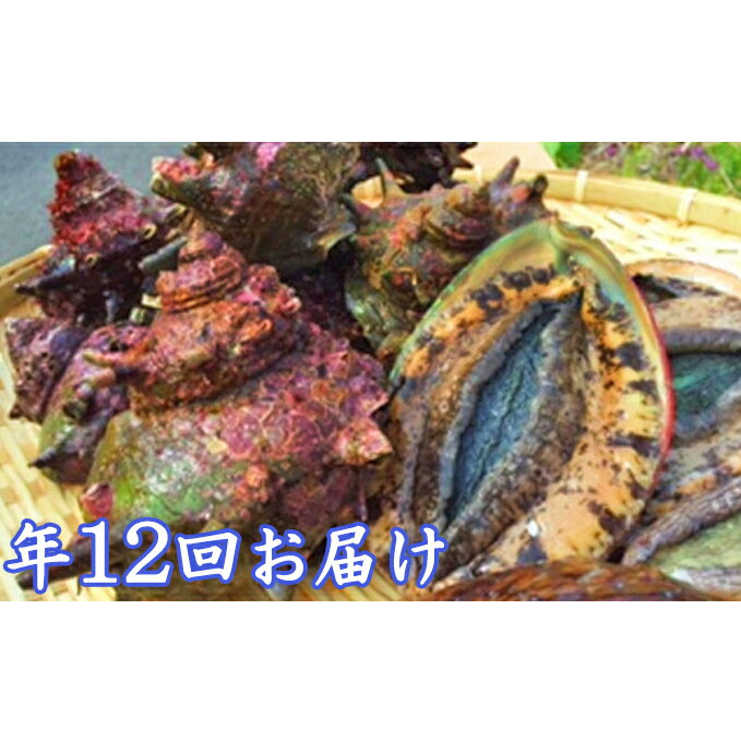 【ふるさと納税】毎月お届け　海からのおくり物（年12回）　【海老・伊勢エビ・魚介類・あわび・アワビ・鮑・魚貝類・干物】