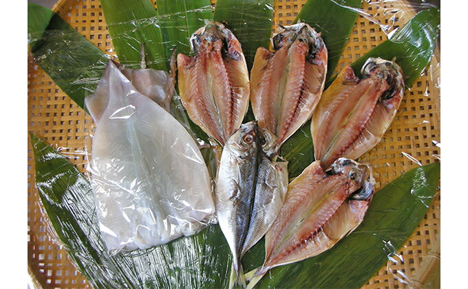 【ふるさと納税】伊豆直送 あじ干物5尾・イカ一夜干し1尾セット S4　【魚貝類・干物・アジ・イカ・あじ干物】