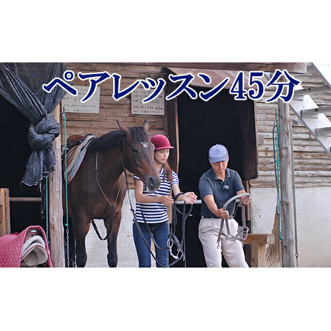 【ふるさと納税】天城ホースビレッジ 施設利用券 ペアレッスン45分　　体験チケット