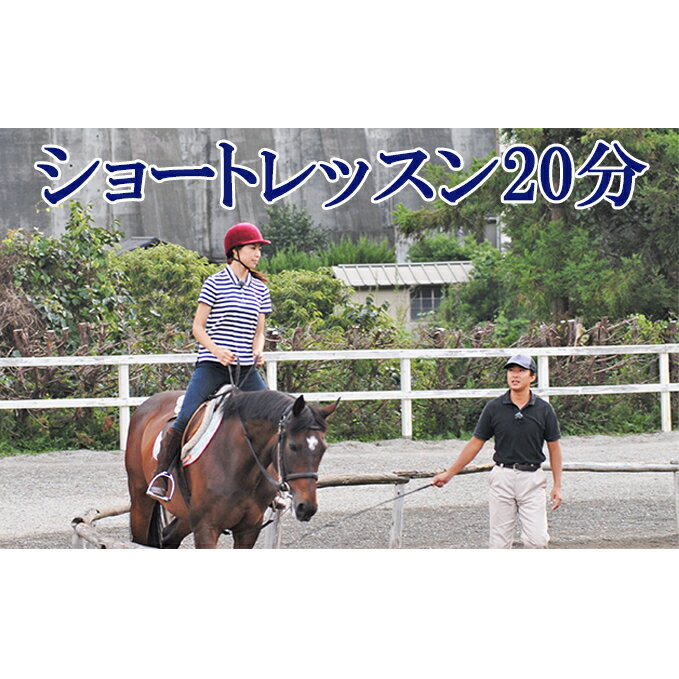 【ふるさと納税】天城ホースビレッジ 施設利用券 ショートレッスン20分　体験チケット
