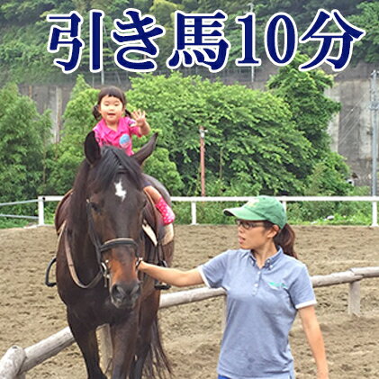 【ふるさと納税】天城ホースビレッジ 施設利用券 引き馬10分（にんじん付き）　【体験チケット】