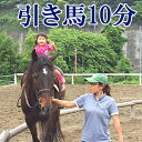 【ふるさと納税】天城ホースビレッジ 施設利用券 引き馬10分（にんじん付き）　【体験チケット】 1