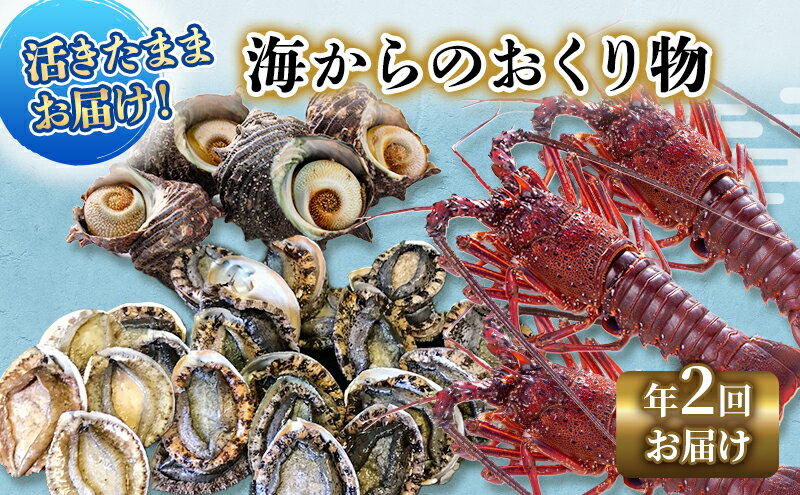 【ふるさと納税】海鮮 定期便 2ヵ月 伊勢海老 3～8匹 サザエ 4～15個 アワビ 3～5枚 海鮮セット 旬 活 伊勢えび 海老 えび あわび 鮑 さざえ 貝 魚介 魚介類 刺身 鉄板焼き つぼ焼き セット 詰め合わせ 冷蔵 冷蔵配送 静岡 静岡県 河津 河津町 定期 6ヶ月ごと計2回