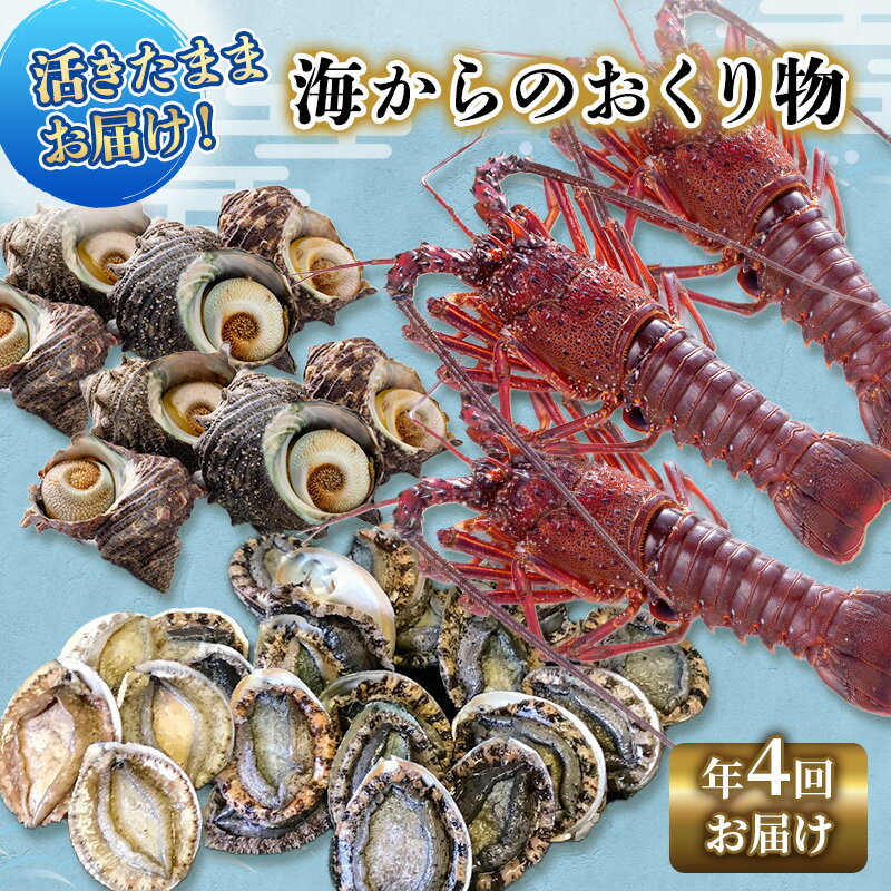 【ふるさと納税】伊勢海老 アワビ サザエ 定期便 年4回 海からのお届け物 伊勢エビ 3～8匹 さざえ 4～15個 あわび 3～5枚 伊勢えび 海老 エビ えび 鮑 貝 魚介 魚介類 海鮮 海鮮セット セット 詰め合わせ 冷蔵 刺身 焼き物 静岡 静岡県 4回 お楽しみ　【 河津町 】