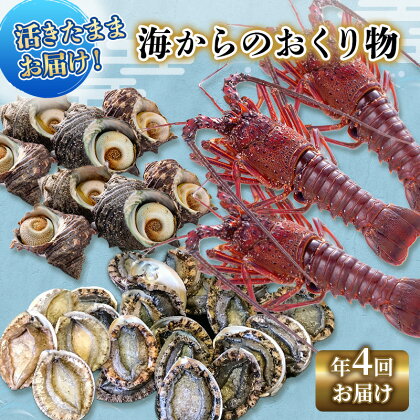 伊勢海老 アワビ サザエ 定期便 年4回 海からのお届け物 伊勢エビ 3～8匹 さざえ 4～15個 あわび 3～5枚 伊勢えび 海老 エビ えび 鮑 貝 魚介 魚介類 海鮮 海鮮セット セット 詰め合わせ 冷蔵 刺身 焼き物 静岡 静岡県 4回 お楽しみ　【 河津町 】