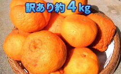 【ふるさと納税】【わけあり】有機農法で育てた 不知火柑（デコポン）約4kg　【果物類・みかん・柑橘類・デコポン・不知火柑・訳あり】　お届け：2023年3月中旬〜3月下旬･･･ 画像1