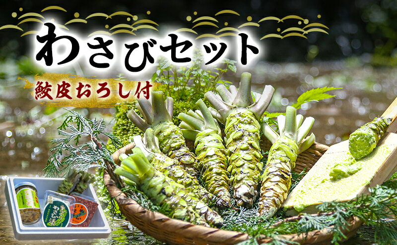 【ふるさと納税】わさび セット さくら 鮫皮おろし付 伊豆わさび食品直送 生わさび 2本 手作り わさび漬け 天城の春 三杯酢漬け わさびみそ 伊豆 ワサビ 茎 加工品 加工食品 薬味 鮫皮おろし 詰め合わせ 静岡　【 河津町 】