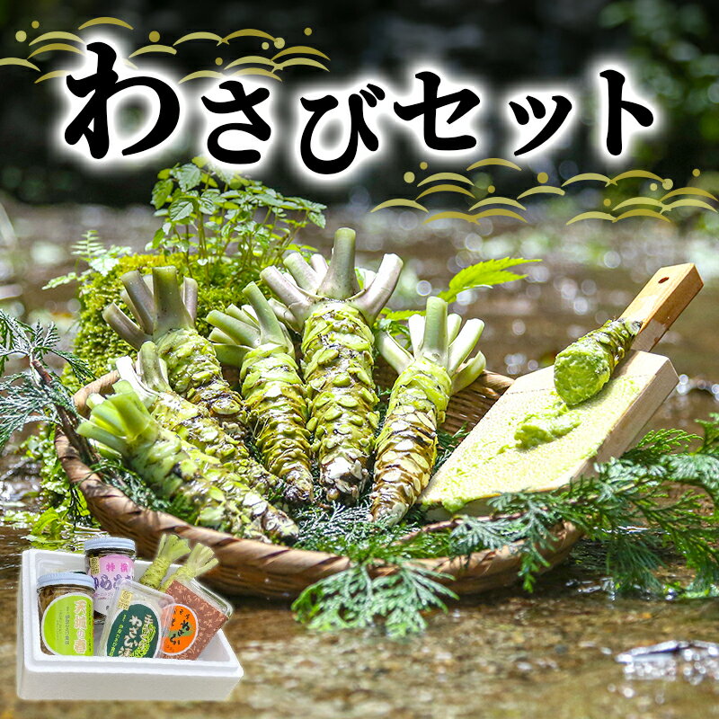 【ふるさと納税】とれたて わさび セット 滝 生産者直送 生わさび 2本 手作り わさび漬け 天城の春 三杯酢漬け わさびみそ むらさき漬 醤油漬け 伊豆 ワサビ 茎 加工品 加工食品 薬味 詰め合わせ 静岡　【 河津町 】