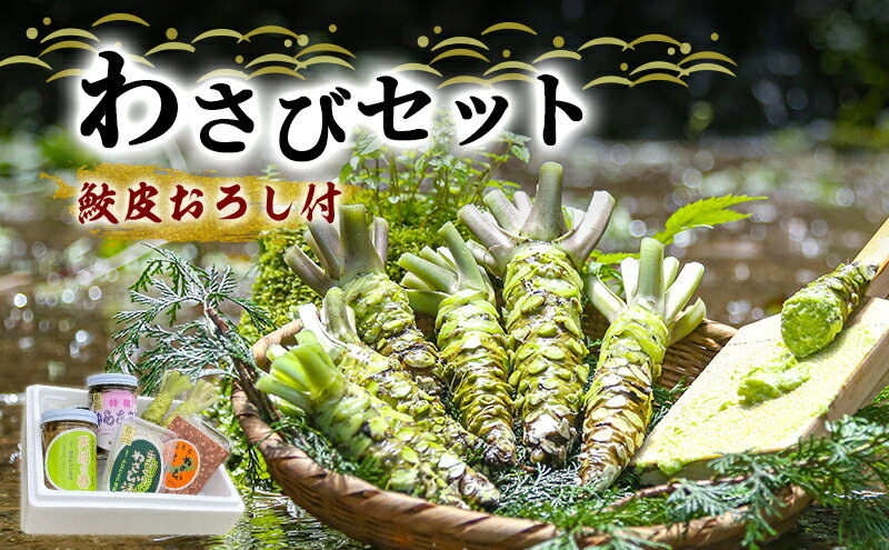 【ふるさと納税】とれたて わさび セット 滝 鮫皮おろし付 生産者直送 生わさび 2本 手作り わさび漬け 天城の春 三杯酢漬け わさびみそ むらさき漬 醤油漬け 伊豆 ワサビ 茎 加工品 加工食品 薬味 鮫皮おろし 詰め合わせ 静岡　【 河津町 】