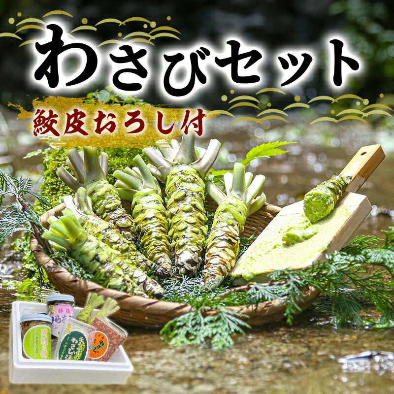 調味料(わさび)人気ランク12位　口コミ数「0件」評価「0」「【ふるさと納税】とれたて わさび セット 滝 鮫皮おろし付 生産者直送 生わさび 2本 手作り わさび漬け 天城の春 三杯酢漬け わさびみそ むらさき漬 醤油漬け 伊豆 ワサビ 茎 加工品 加工食品 薬味 鮫皮おろし 詰め合わせ 静岡　【 河津町 】」