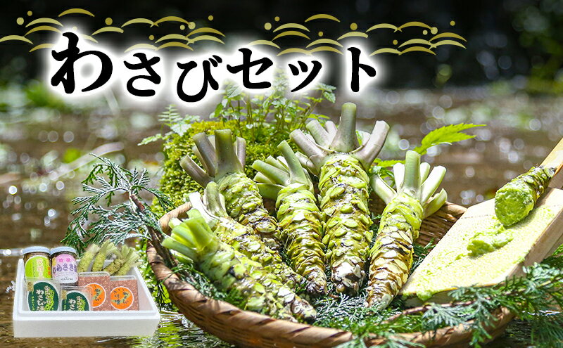 【ふるさと納税】とれたて わさび セット 池 伊豆わさび食品直送 生わさび 4本 手作り わさび漬け 天城の春 三杯酢漬け わさびみそ むらさき漬 醤油漬け 伊豆 ワサビ 茎 加工品 加工食品 薬味 詰め合わせ 静岡　【 河津町 】