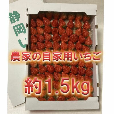 【ふるさと納税】河津町産　農家の自家用いちご「紅ほっぺ」 約1.5kg 【いちご】特集 　【果物類 いち...