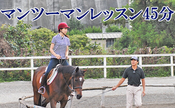 【ふるさと納税】天城ホースビレッジ施設利用券 マンツーマンレッスン45分　体験チケット 乗馬 レッスン 2