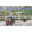 【ふるさと納税】天城ホースビレッジ施設利用券 マンツーマンレッスン45分 体験チケット 乗馬 レッスン