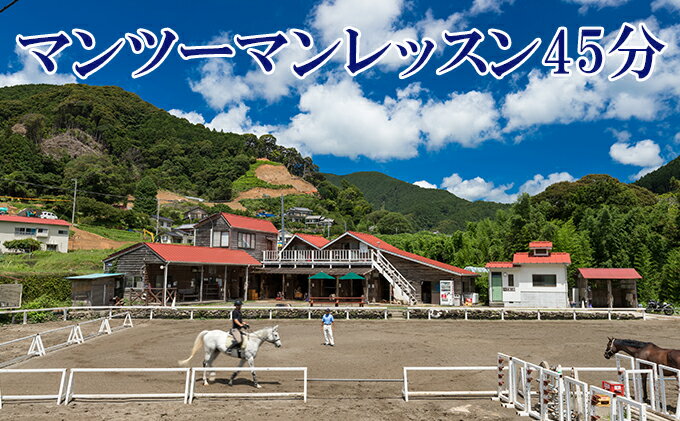 【ふるさと納税】天城ホースビレッジ施設利用券 マンツーマンレッスン45分　体験チケット 乗馬 レッスン 3
