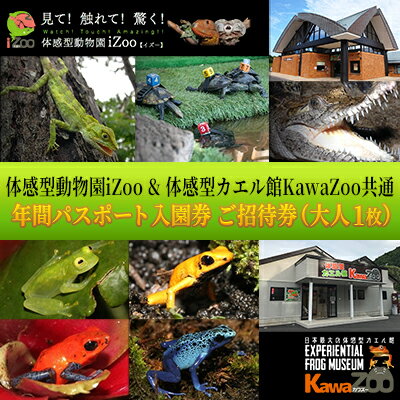 イズー カワズー 年間パスポート（大人1名） 共通入園券 爬虫類 動物園 河津町 観光　【 チケット 年パス 日本最大級 近距離 希少な動物 体感型動物園 カエル專門施設 お出かけ 】