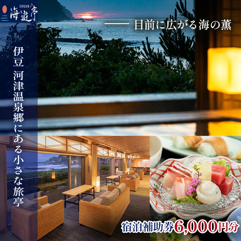 【ふるさと納税】海遊亭【6,000円】宿泊補助券 河津温泉 