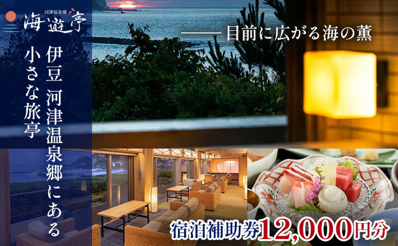 【ふるさと納税】海遊亭【12,000円】宿泊補助券 河津温泉 オーシャンビュー 河津 河津町 静岡 伊豆 宿泊券 旅館 旅行 観光 温泉 国内旅行　【 旅行 宿泊券 海辺 オーシャンフロント 新鮮 海の幸 良質 お風呂 ゆったり 】その2