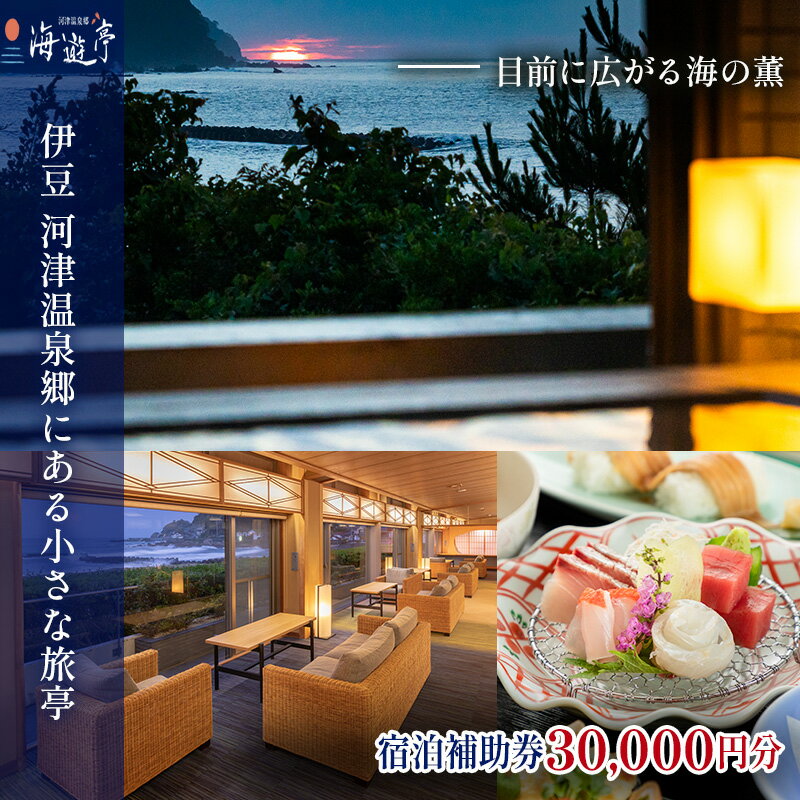 静岡の旅行券（宿泊券） 【ふるさと納税】海遊亭【30,000円】宿泊補助券 河津温泉 オーシャンビュー 河津 河津町 静岡 伊豆 宿泊券 旅館 旅行 観光 温泉 国内旅行　【 旅行 宿泊券 海辺 オーシャンフロント 新鮮 海の幸 良質 お風呂 ゆったり 】