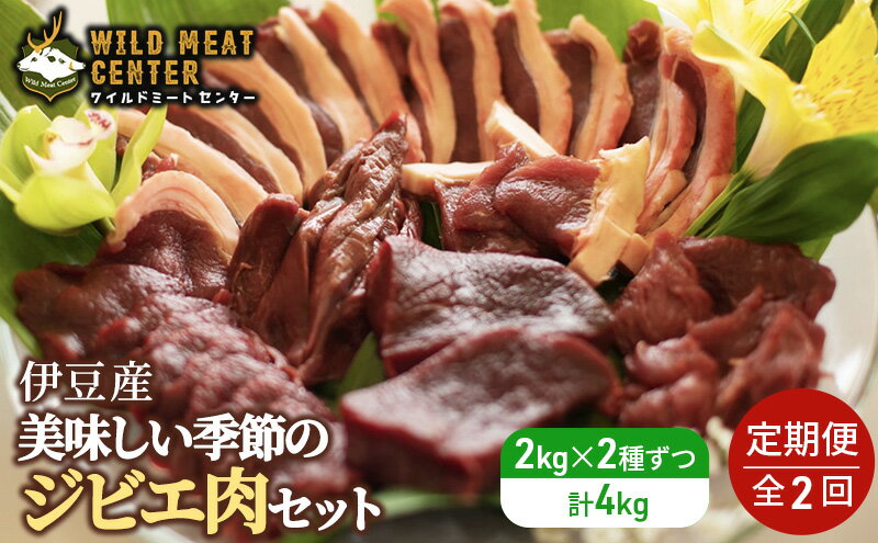 【ふるさと納税】【伊豆産ジビエ肉】美味しい季節のジビエ肉定期便セット（1kg×4）