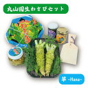 【ふるさと納税】伊豆天城 丸山園 わさびセット 華 セット 詰め合わせ わさび 山葵 ワサビ 生わさび おつまみ つまみ みそ 味噌 漬け物 漬物