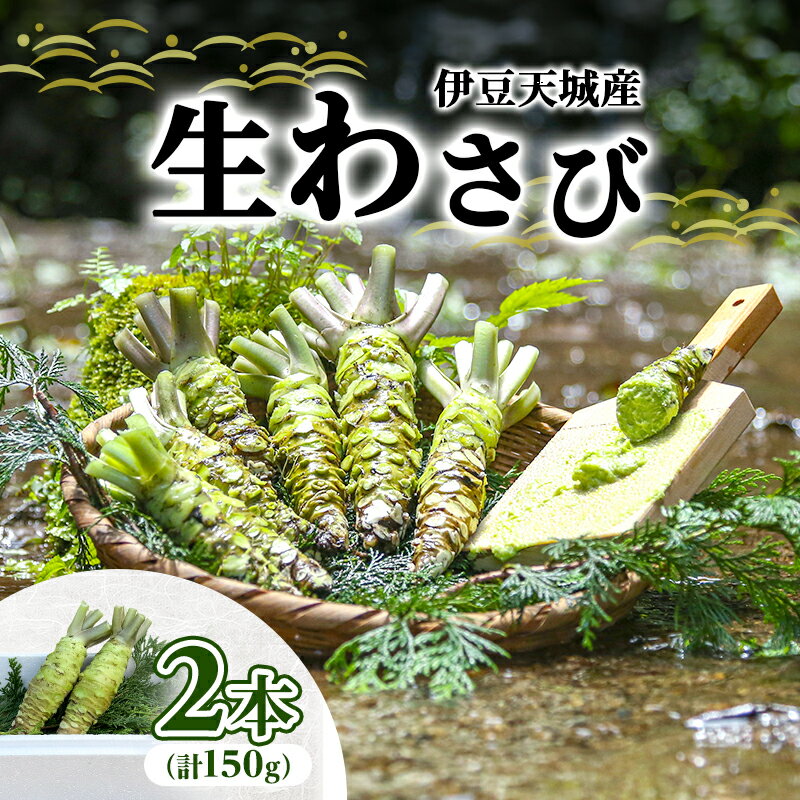 伊豆天城産 生わさび 2本 計150g 調味料 薬味 わさび 山葵 生山葵 ワサビ 生ワサビ 刺身 寿司 新鮮 河津町産 静岡県産