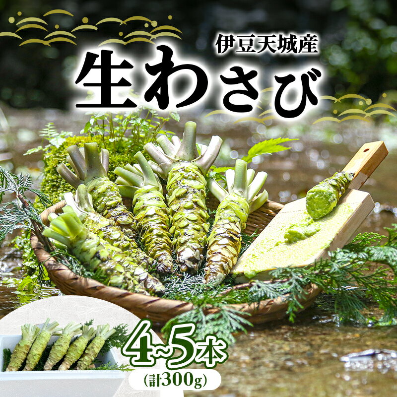 【ふるさと納税】伊豆天城産 生わさび 4～5本 計300g 調味料 薬味 わさび 山葵 生山葵 ワサビ 生ワサビ..