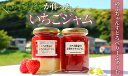 5位! 口コミ数「0件」評価「0」予約受付 手作りいちごジャム2種セット 国産 手作り 手づくり いちご農家 完熟 スムージー ヨーグルト イチゴ ミルク ジャム 紅ほっぺ ･･･ 