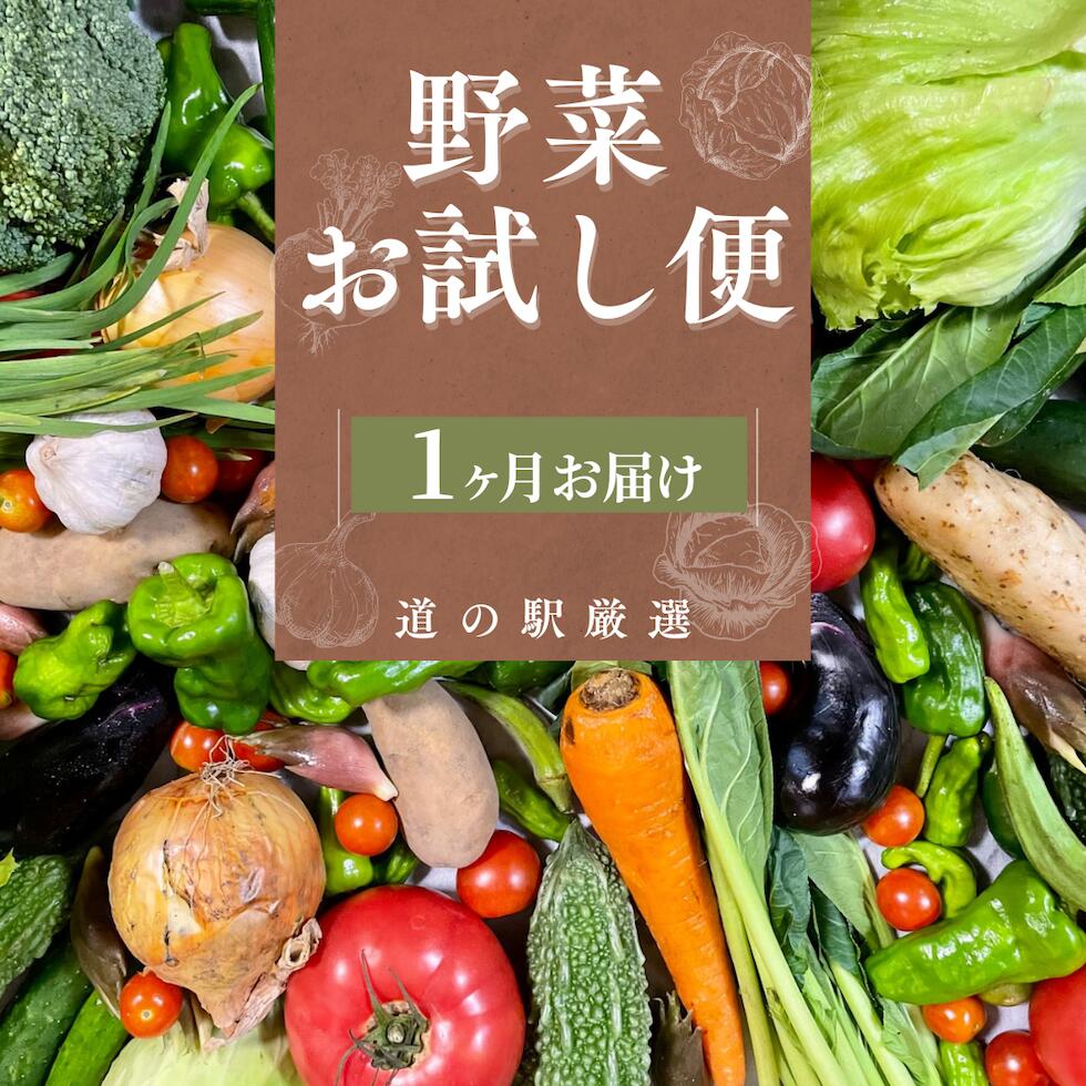 【ふるさと納税】旬の野菜セット 大容量 大満足 レシピ付き 旬 野菜 お試し 1か月 お楽しみ 詰め合わせ 春 夏 秋 冬 おまかせ ギフト セット 新鮮 やさい 産地直送 直売所 美味しい 南伊豆町 送料無料 湯の花