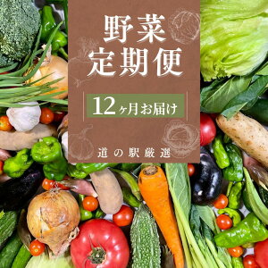 【ふるさと納税】10品以上 年12回発送 旬の野菜セット1年間の定期便 定期便 大容量 大満足 レシピ付き 旬 野菜 定期便 12か月 お楽しみ 詰め合わせ 春 夏 秋 冬 おまかせ ギフト セット 新鮮 やさい 産地直送 直売所 南伊豆町 送料無料 湯の花