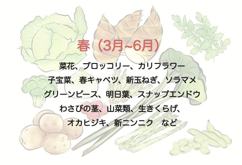 【ふるさと納税】楽天限定 季節の野菜定期便 6ヶ月 野菜セット 大容量 大満足 レシピ付き 旬 野菜 フルーツ 果物 定期便 お楽しみ 詰め合わせ 春 夏 秋 冬 おまかせ ギフト セット 新鮮 やさい 産地直送 直売所 美味しい 伊豆 南伊豆町 送料無料 湯の花