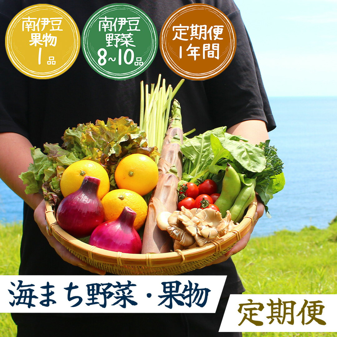 【ふるさと納税】年12回発送 旬の野菜と果物セット12ヶ月の