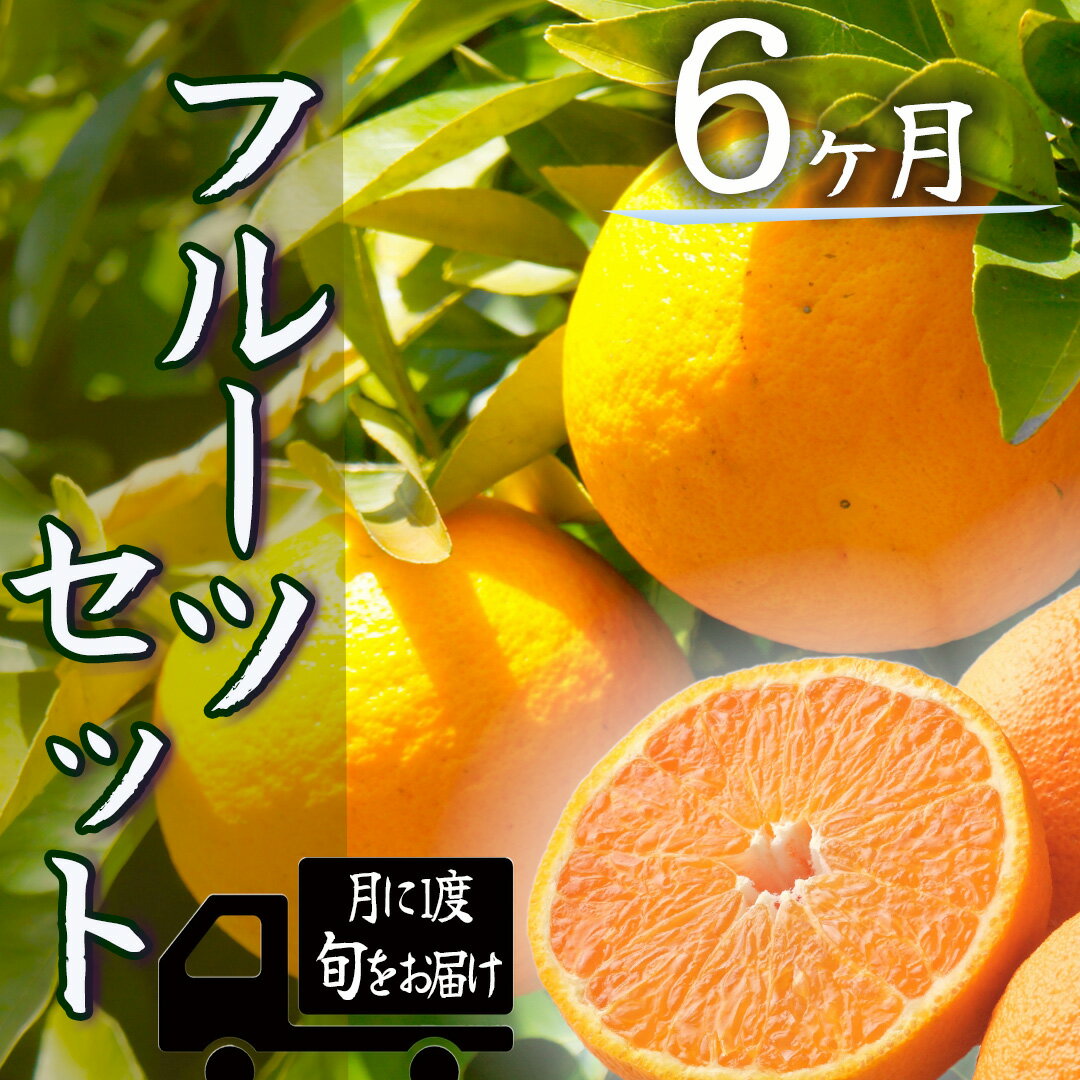 定期便 人気 フルーツ 毎月 6回 半年間 お楽しみ 大満足 みかん 不知火 ポンカン はるみ デコポン 清見 甘夏 福原オレンジ ニューサマーオレンジ ハウスみかん ブドウ 温州ミカン 柿 青島 湯の花 みかんメインで贈るフルーツ6回の定期便