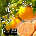 20位! 口コミ数「0件」評価「0」定期便 人気 フルーツ 毎月 6回 半年間 お楽しみ 大満足 みかん 不知火 ポンカン はるみ デコポン 清見 甘夏 福原オレンジ ニューサ･･･ 