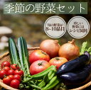 【ふるさと納税】季節の野菜セット 8品から10品 大容量 大満足 レシピ付き 旬 野菜 フルーツ 果物 定期便 お楽しみ 詰め合わせ 春 夏 秋 冬 おまかせ ...