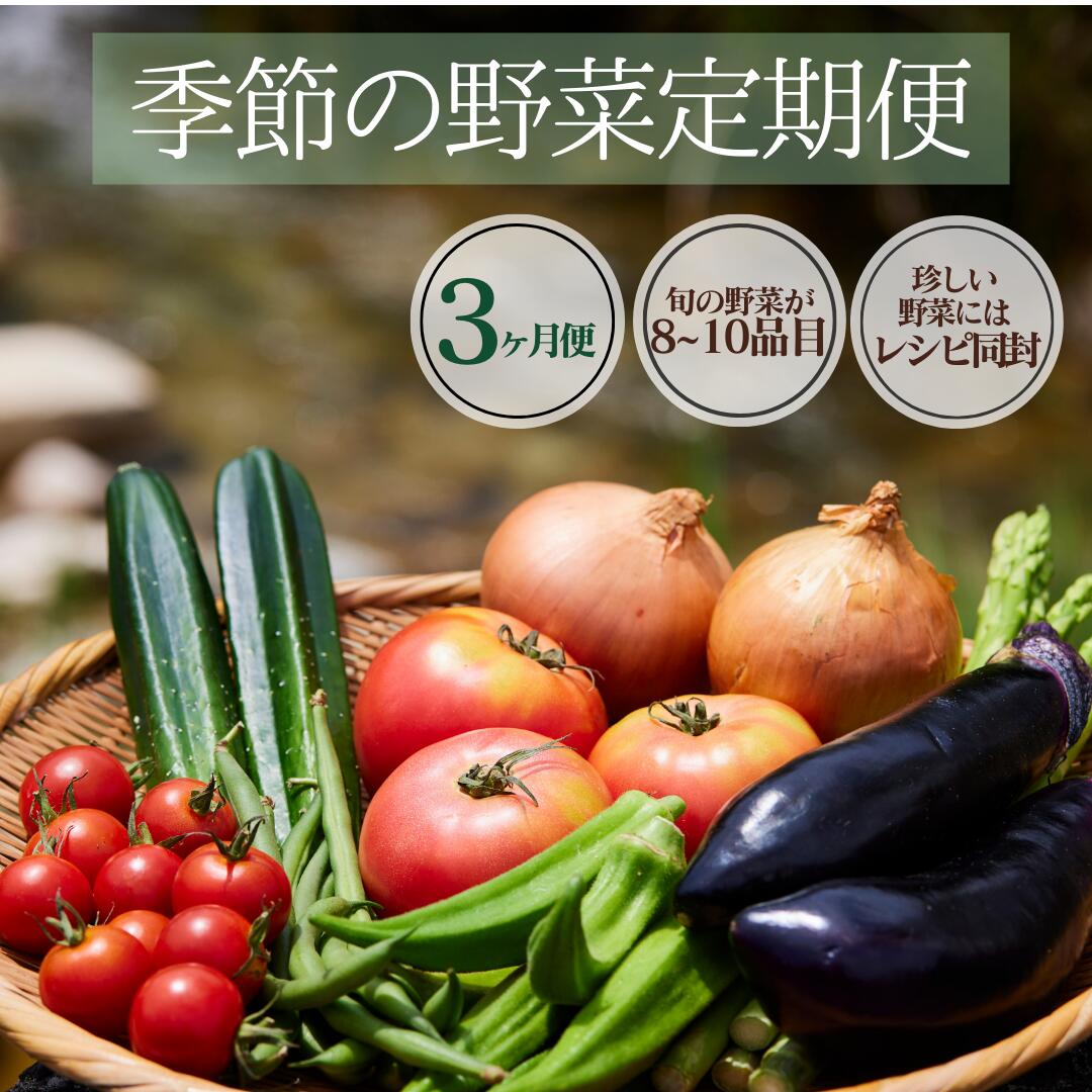 【ふるさと納税】楽天限定 季節の野菜定期便 3ヶ月 野菜セッ