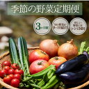 28位! 口コミ数「0件」評価「0」楽天限定 季節の野菜定期便 3ヶ月 野菜セット 大容量 大満足 レシピ付き 旬 野菜 フルーツ 果物 定期便 お楽しみ 詰め合わせ 春 夏 ･･･ 