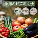 28位! 口コミ数「0件」評価「0」楽天限定 季節の野菜定期便 12ヶ月 野菜セット 大容量 大満足 レシピ付き 旬 野菜 フルーツ 果物 定期便 お楽しみ 詰め合わせ 春 夏･･･ 