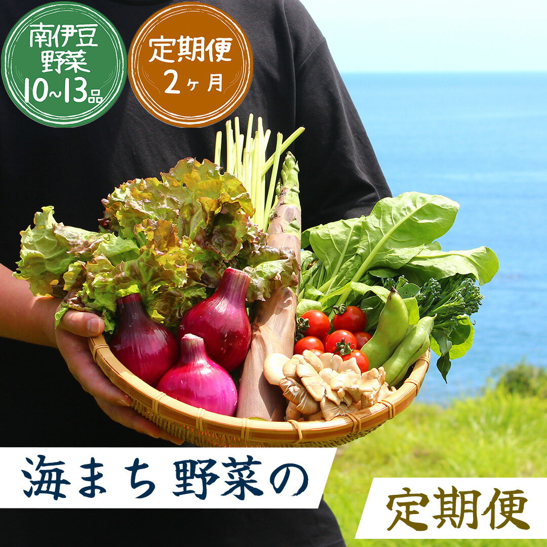 10品以上 旬の野菜セット2ヶ月の定期便 2回発送 定期便 大容量 大満足 レシピ付き 旬 野菜 定期便 3か月 お楽しみ 詰め合わせ 春 夏 秋 冬 おまかせ ギフト セット 新鮮 やさい 産地直送 直売所 南伊豆町 送料無料 湯の花