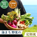 28位! 口コミ数「0件」評価「0」10品以上 旬の野菜セット2ヶ月の定期便 2回発送 定期便 大容量 大満足 レシピ付き 旬 野菜 定期便 3か月 お楽しみ 詰め合わせ 春 ･･･ 