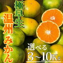 【ふるさと納税】予約受付 湯の花 極早生温州みかん 3Kg 5Kg 10Kg 早生 極早生 柑橘 ミカン みかん フルーツ 甘い ジューシー 伊豆 静岡 南伊豆 在庫限り 2025年9月下旬頃~配送 道の駅 直売所