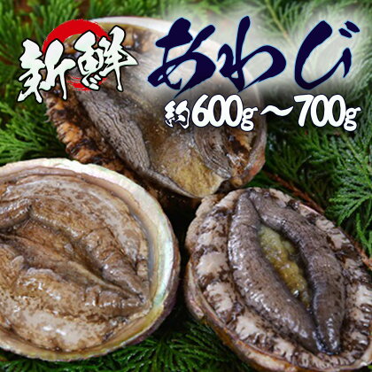 あわび アワビ 鮑 天然 活 魚介 海産 海鮮 産地直送 BBQ バーベキュー 送料無料 伊豆 静岡 青木さざえ店