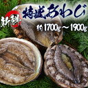 【ふるさと納税】特盛あわび アワビ 鮑 天然 活 魚介 ...