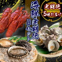 【ふるさと納税】海鮮スペシャル定期便 Bセット 伊勢海老 イセエビ 鮑 アワビ さざえ サザエ 天然 活 魚介 定期便 豪華 厳選 おまかせ 魚 貝 加工品 海産物 海鮮 産地直送 大容量 刺身 海鮮セット BBQ バーベキュー 送料無料 伊豆 南伊豆 静岡 青木さざえ