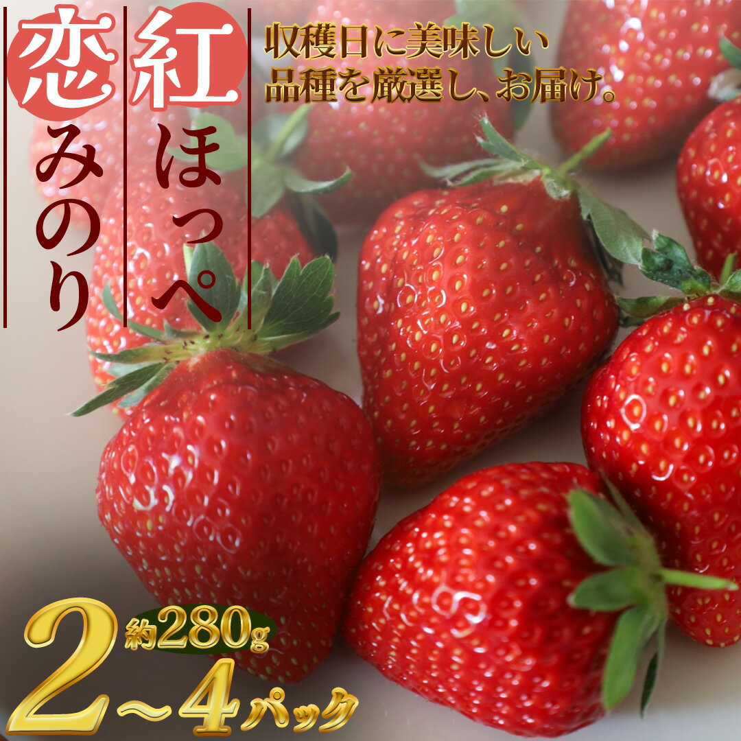 13位! 口コミ数「4件」評価「3.5」【予約受付】【2025年1月発送】 いちご イチゴ 苺 紅ほっぺ 300g以上2パック 300g以上4パック 静岡 果物 生いちご 紅ほっぺ･･･ 