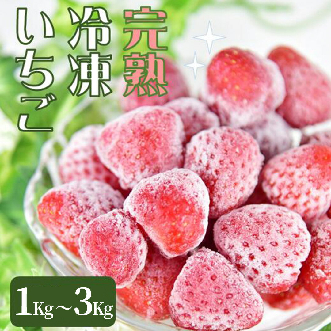 【ふるさと納税】 特別賞受賞！選べる完熟冷凍いちごBabyBerryFarm いちご 1kg 送料無 ...