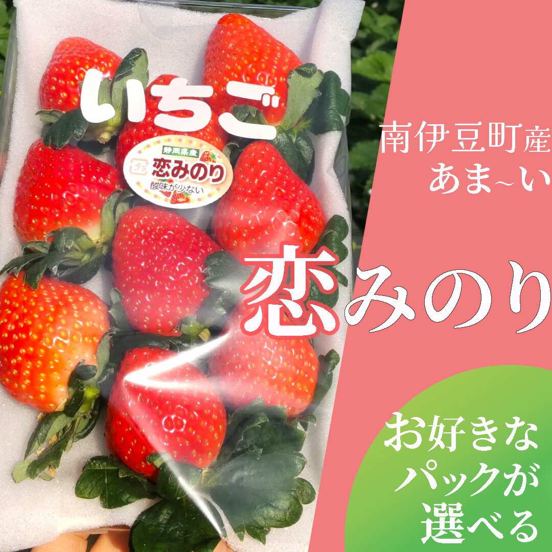 [令和6年2月から順次発送]完熟いちご恋みのり 選べる2パック/4パック(DXパック)送料無料 みなみのいちご園 いちご 生いちご イチゴ 苺 甘い 恋みのり 600g 1200g人気 大人気 おすすめ 静岡 果物 フルーツ 甘い 南伊豆町産 静岡県 静岡