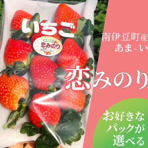 【ふるさと納税】【令和6年2月から順次発送】完熟いちご恋みのり 選べる2パック/4パック（DXパック）送料無料 みなみのいちご園 いちご 生いちご イチゴ 苺 甘い 恋みのり 600g 1200g人気 大人気 おすすめ 静岡 果物 フルーツ 甘い 南伊豆町産 静岡県 静岡