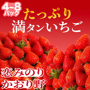 【ふるさと納税】【2026年3月から5月発送予定】たっぷり 満タンいちご (約230g×4パック 約230g×8パック)恋みのり、かおり野 から厳選(小粒~中粒) 送料無料 みなみのいちご園 いちご 恋みのり かおり野 生いちご イチゴ 苺 甘い 静岡 果物 フルーツ 南伊豆町産