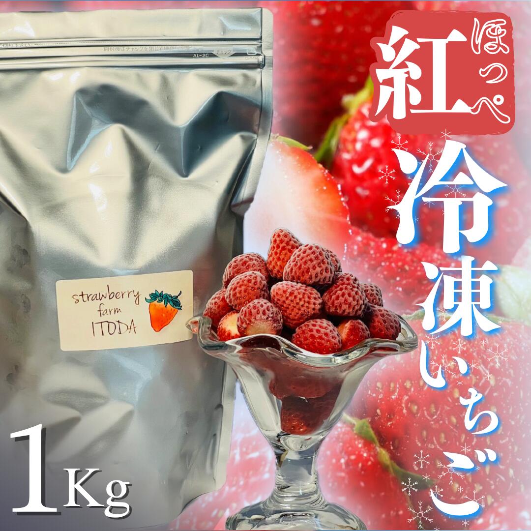 【ふるさと納税】 冷凍イチゴ 1kg 苺 いちご イチゴ 国産 完熟 甘い スムージー ジャム ヨーグルト 一口サイズ 紅ほっぺ 苺 果物 フルーツ 静岡 南伊豆 冷凍 いちご 地元JA品評会金賞受賞